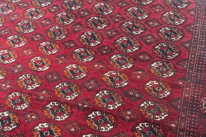 Brooklyn carpet cleaning service