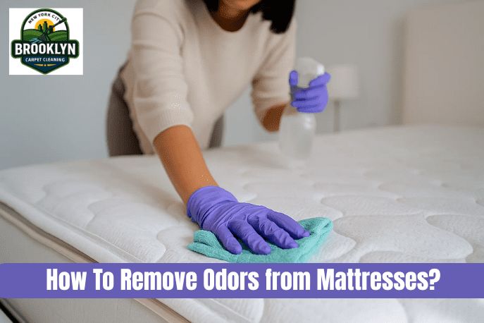 How Much Does Entire Office Carpet Cleaning Cost in Brooklyn NY 1