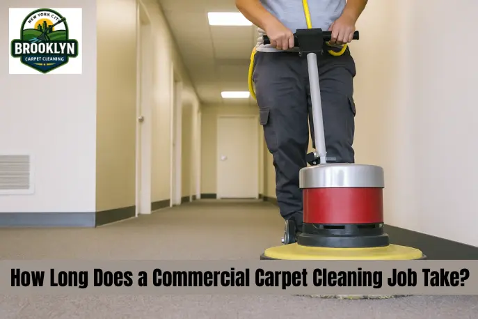 How Much Does Entire Office Carpet Cleaning Cost in Brooklyn NY 3 1