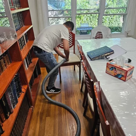 Brooklyn couch cleaning service